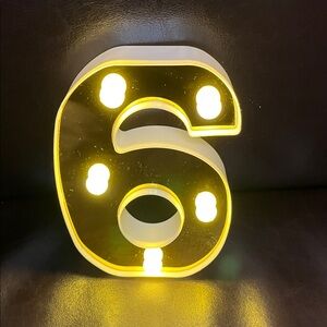Illuminated Number 6 or 9 LED Light